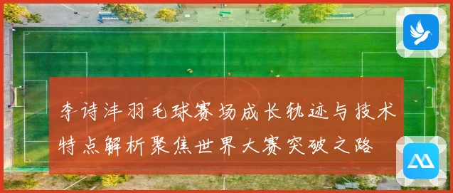 李诗沣羽毛球赛场成长轨迹与技术特点解析聚焦世界大赛突破之路