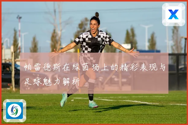 帕雷德斯在绿茵场上的精彩表现与足球魅力解析